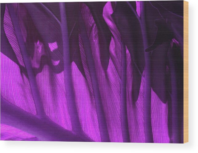 Leaf Wood Print featuring the photograph Leaf Detail 1 - Violet by Ron Berezuk