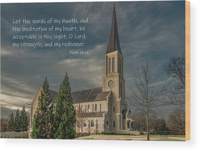  Wood Print featuring the photograph Lee University Chapel in Winter by Marcy Wielfaert