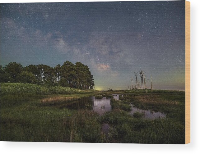 Maryland Wood Print featuring the photograph Life Of The Firefly by Robert Fawcett