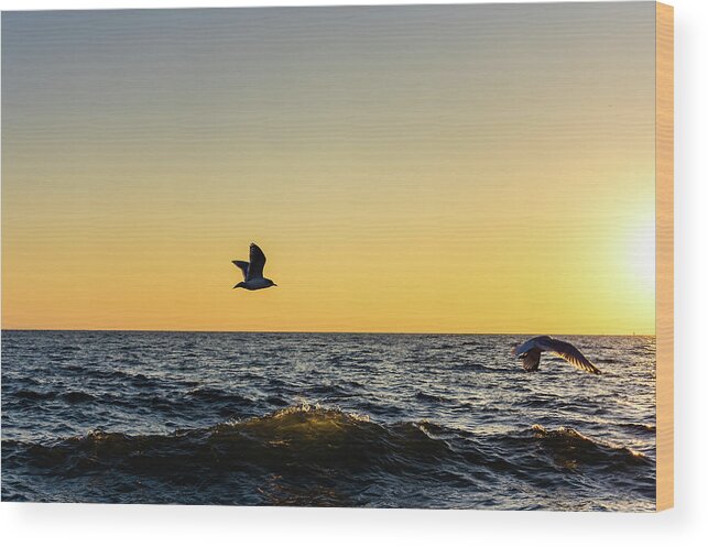 Flight Wood Print featuring the photograph Lift by Rich Kovach