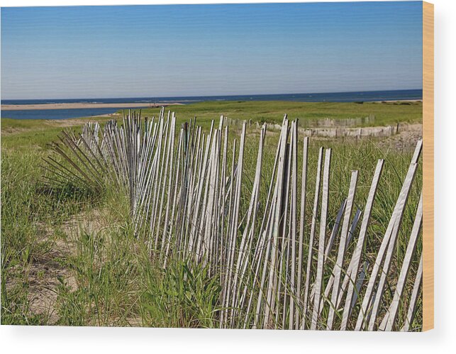 Lighthouse Beach Wood Print featuring the photograph Lighthouse Beach Fence Line by Marisa Geraghty Photography