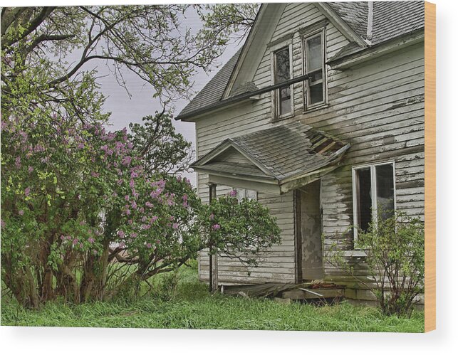 Lilacs Wood Print featuring the photograph Lilacs Remember by Alana Thrower