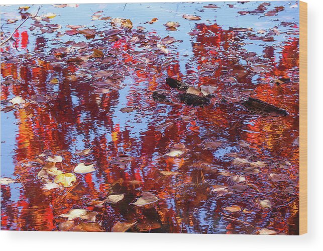 Lake Wood Print featuring the photograph Limbs, Leaves, And Lakes by Ed Williams