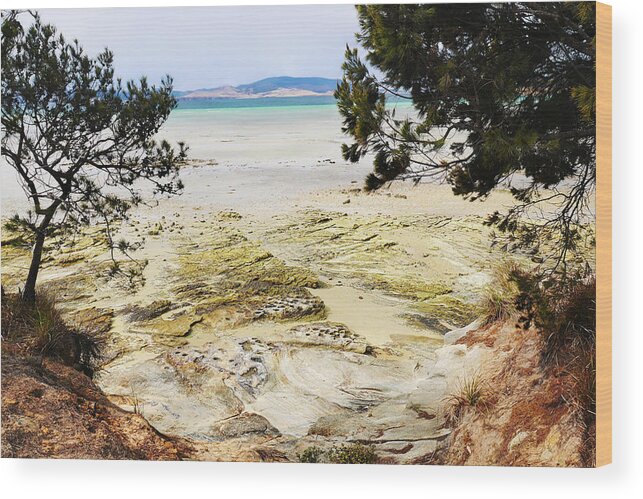 Tantalising Tasmania Series By Lexa Harpell Wood Print featuring the photograph Lime Bay Tasmania 5 by Lexa Harpell