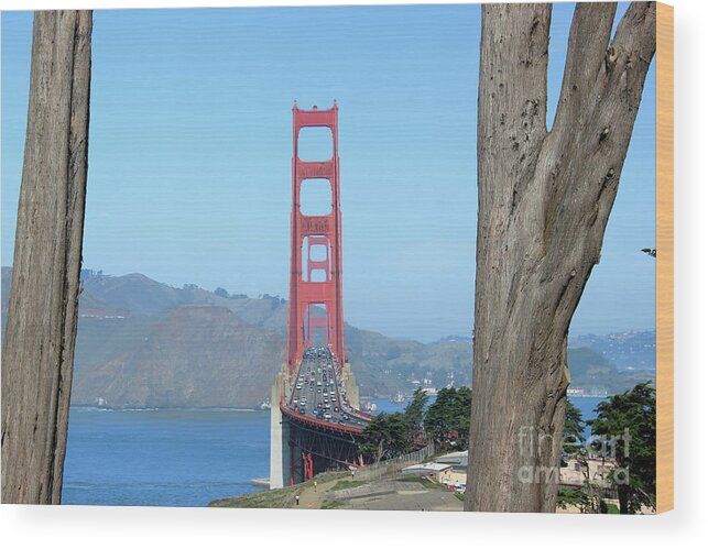 San Francisco Wood Print featuring the photograph Line Up by Wilko van de Kamp Fine Photo Art
