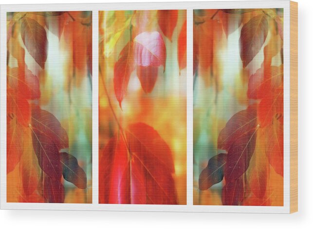 Leaves Wood Print featuring the photograph Lingering Leaves Triptych II by Jessica Jenney