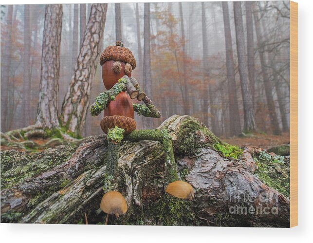 Figure Wood Print featuring the photograph Little Acorn Man Looking for Wildlife by Arterra Picture Library