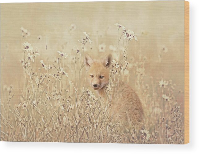 Fox Wood Print featuring the photograph Little Fox in Field of Wild Flowers by Jennie Marie Schell