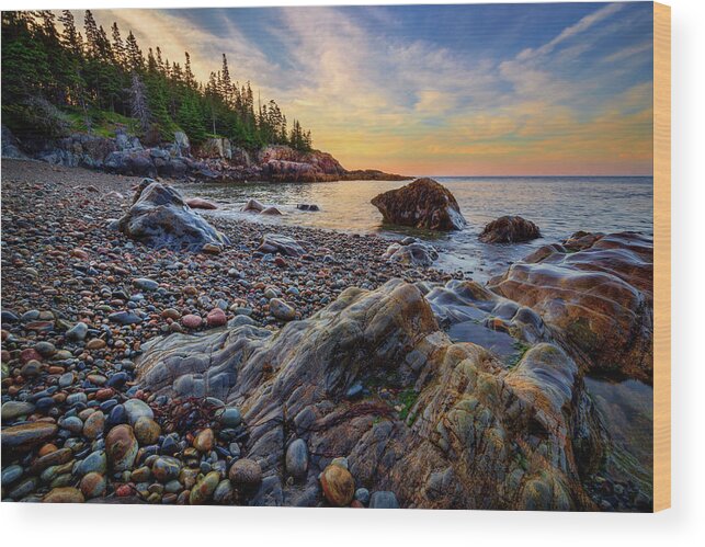 Acadia National Park Wood Print featuring the photograph Little Hunters 34a5491 by Greg Hartford