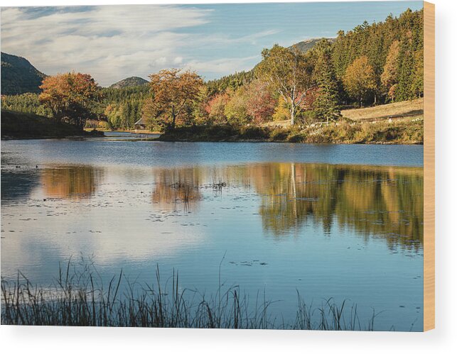 Autumn Wood Print featuring the photograph Little Long Pond 1 by Craig A Walker