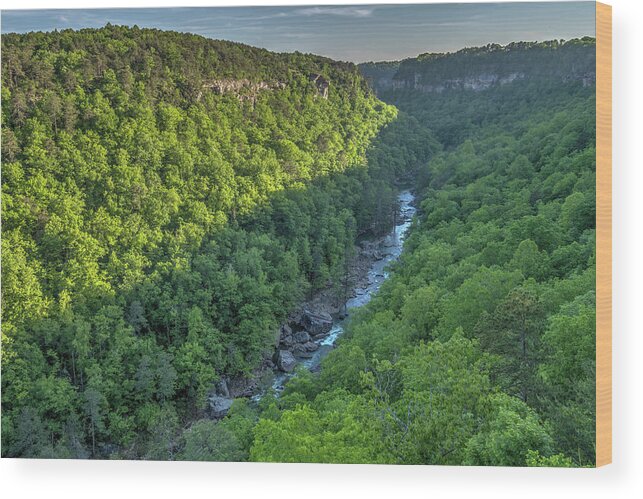 2020 Wood Print featuring the photograph Little River Canyon Shadows by David R Robinson