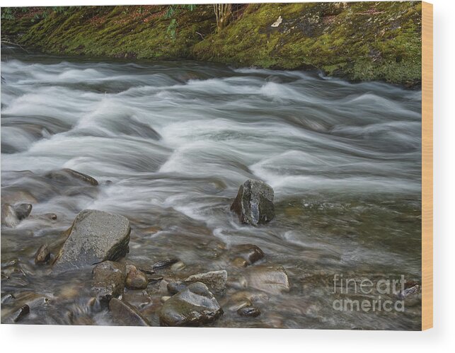 Smokies Wood Print featuring the photograph Little River Rapids 18 by Phil Perkins
