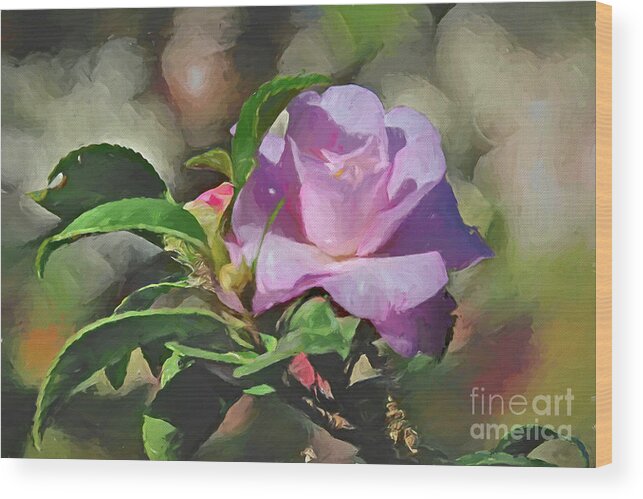 Floral Wood Print featuring the photograph Little Rose - Camellia by Diana Mary Sharpton