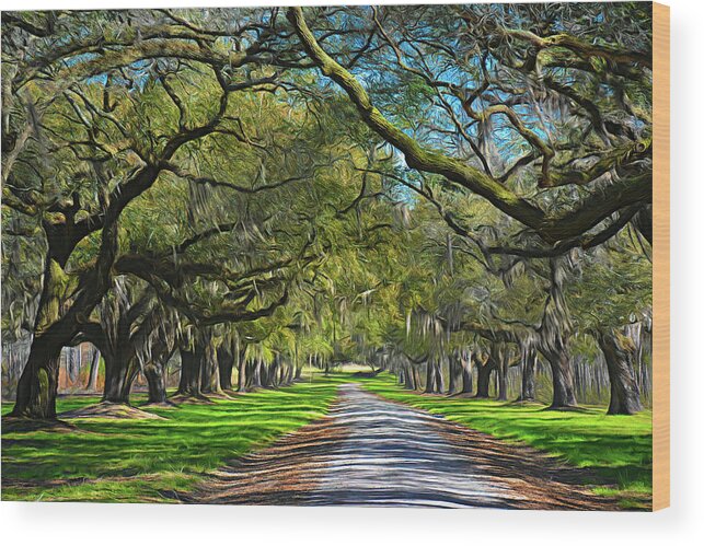 Oak Trees Wood Print featuring the photograph Live Oak Tree Road by Jerry Griffin