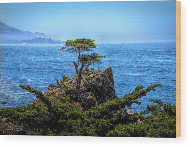 Lone Cypress Wood Print featuring the photograph Lone Cypress After The Storm by Barbara Snyder