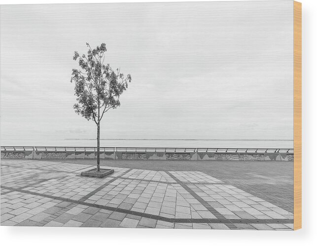 New Topographics Wood Print featuring the photograph Lone Tree on The Prom BW by Stuart Allen