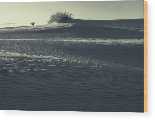 Sand Dunes Wood Print featuring the photograph Lonely Bw by Jonathan Nguyen