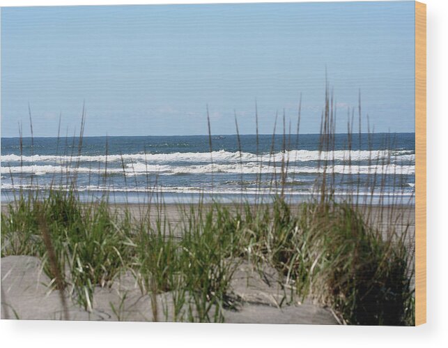 Beach Wood Print featuring the photograph Long Beach Seashore by Mary Gaines