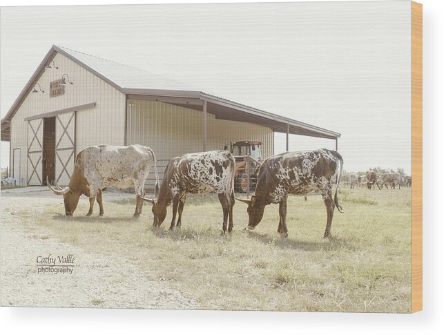 Texas Longhorns Wall Art Wood Print featuring the photograph Longhorn line up by Cathy Valle