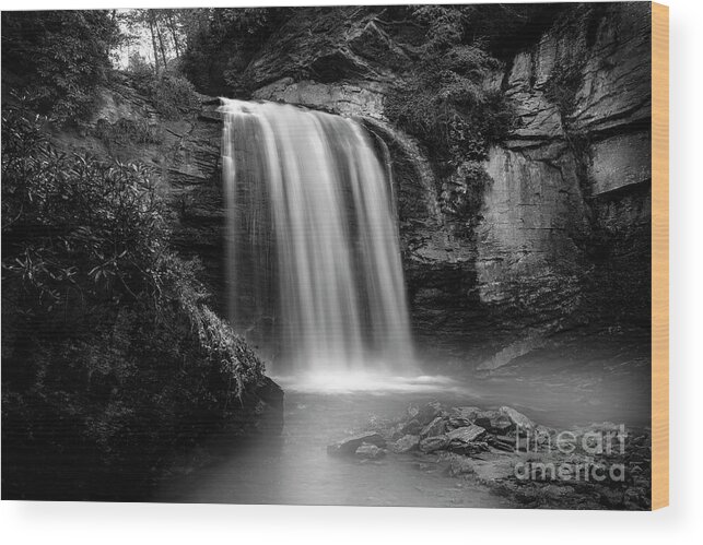 Looking Glass Falls Wood Print featuring the photograph Looking Glass Falls in Black and White by Shelia Hunt