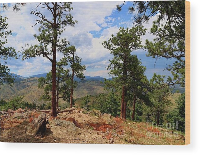 Lookout Mountain Wood Print featuring the photograph Lookout Mountain Colorado by Veronica Batterson