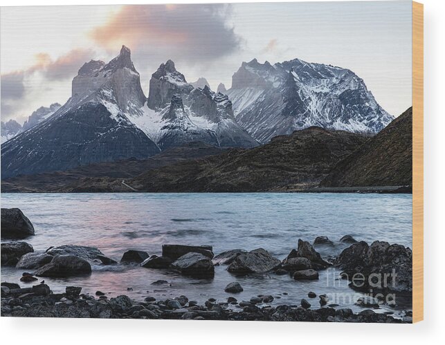 Patagonia Wood Print featuring the photograph Los Cuernos by Erin Marie Davis
