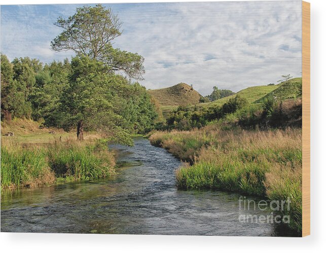 Bark Wood Print featuring the photograph Lovely landscape near Potaruru in New Zealand by Patricia Hofmeester