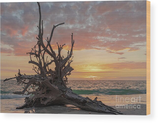 Coastlines Wood Print featuring the photograph Lovers Key by Maresa Pryor-Luzier