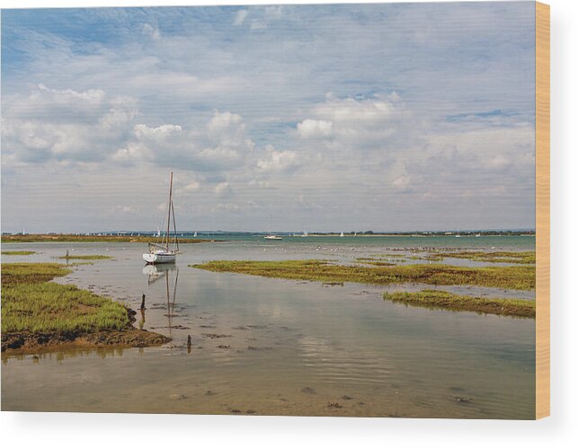  Low Tide Wood Print featuring the photograph Low Tide by Shirley Mitchell