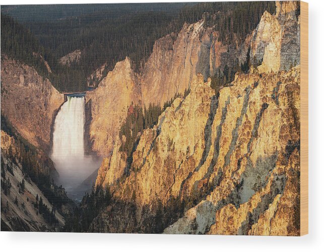 Artist's Point Wood Print featuring the photograph Lower Falls, Grand Canyon of the Yellowstone at Sunrise by Adam Pender