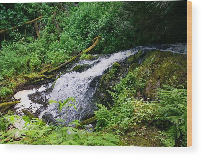 Landscape Wood Print featuring the photograph Lower Ludlow Falls by Bill TALICH