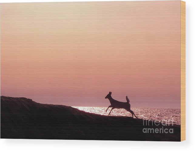 Lake Michgian Wood Print featuring the photograph Lucky by Kathi Mirto