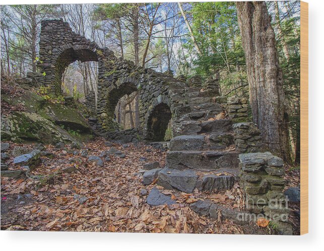 Ruins Wood Print featuring the photograph Madame Sherri's Staircase by Alice Mainville