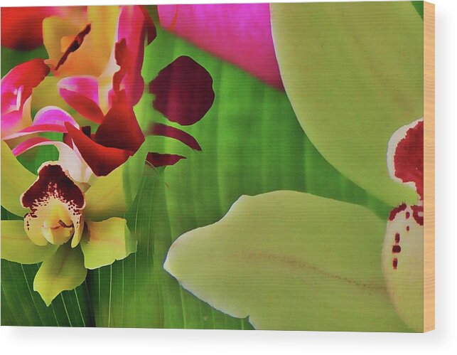 Orchids Wood Print featuring the photograph Magenta Glow by Bobby Villapando