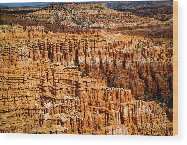 Bryce Canyon Wood Print featuring the photograph Magic Eye by Erin Marie Davis