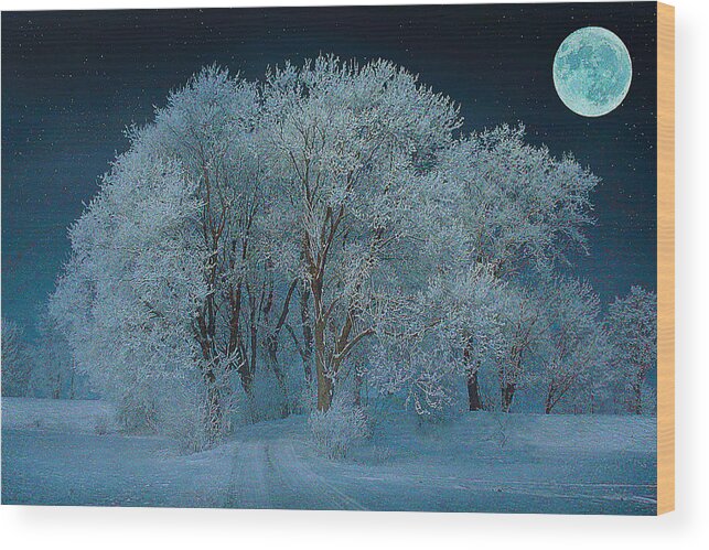 Winter Night Wood Print featuring the mixed media Magical Winter Night by Alex Mir