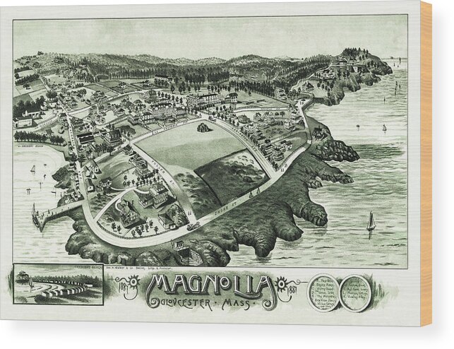 Magnolia Wood Print featuring the photograph Magnolia Gloucester Massachusetts Birds Eye View Vintage Map 1887 by Carol Japp
