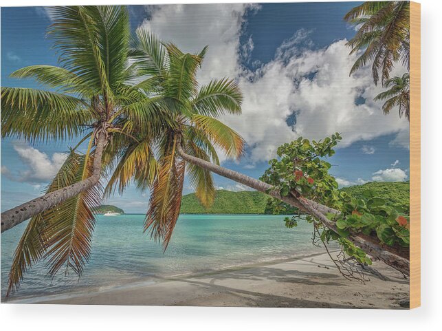 Caribbean Wood Print featuring the photograph Maho sisters by Gary Felton