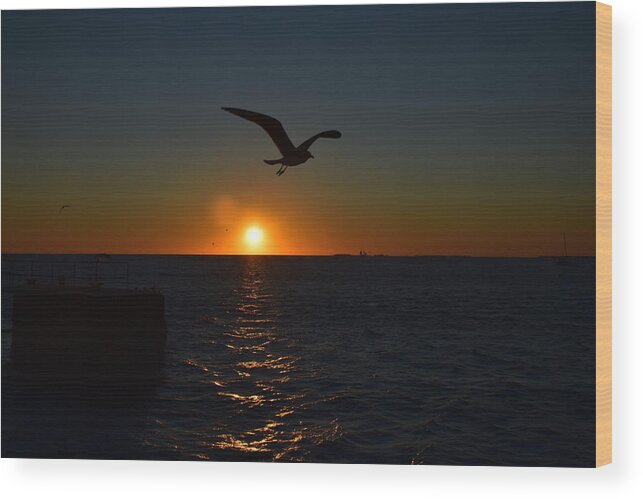Mallory Wood Print featuring the photograph Mallory Square Sunset by Monika Salvan
