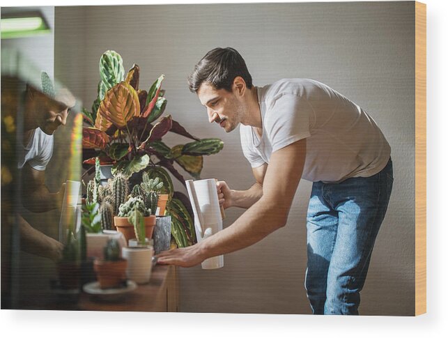 Three Quarter Length Wood Print featuring the photograph Man watering cacti plants in his living room by Luis Alvarez
