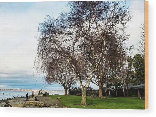 Marine Park Bare Branches Wood Print featuring the photograph Marine Park Bare Branches by Tom Cochran
