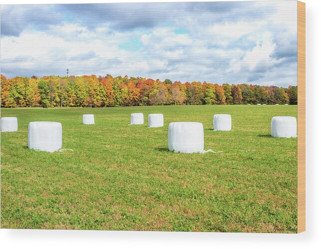Haybales Wood Print featuring the photograph Marshmallows by GLENN Mohs