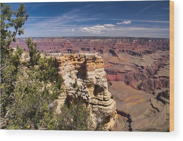 Grand Canyon Wood Print featuring the photograph Mather Point by Segura Shaw Photography