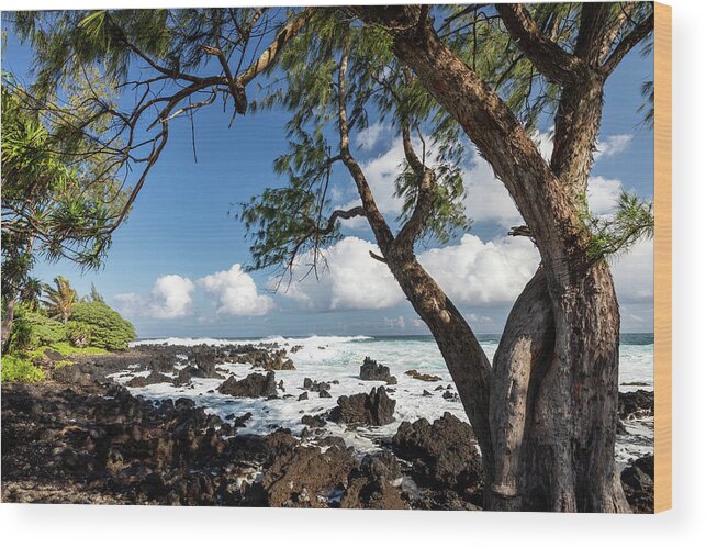 Wave Wood Print featuring the photograph Maui Ocean Trees by Craig A Walker