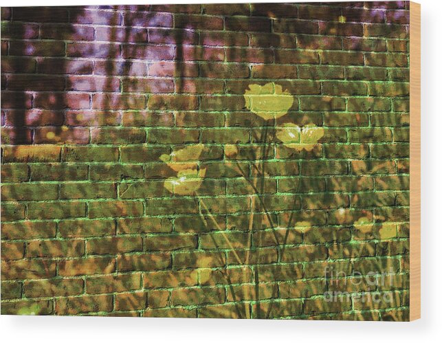 Affinity Photo Wood Print featuring the photograph Meadow flowers on brick wall by Pics By Tony
