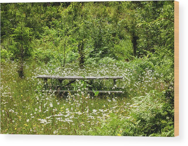 Daisys Wood Print featuring the photograph Meadow Picnic by Cheryl Day