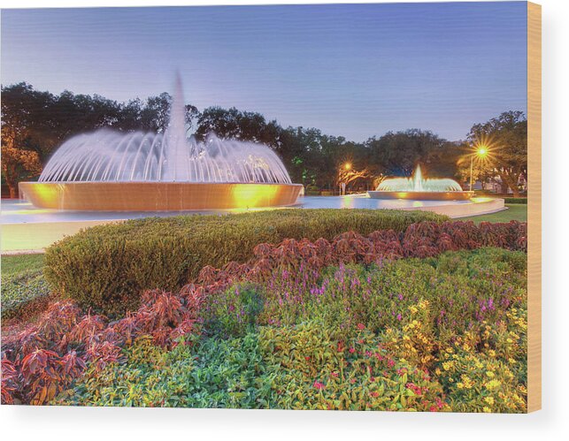Houston Wood Print featuring the photograph Mecom Fountain by Tim Stanley