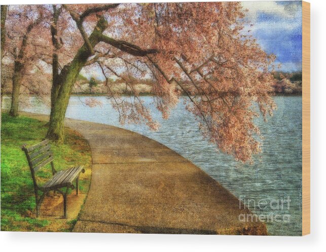 Bench Wood Print featuring the photograph Meet Me At Our Bench by Lois Bryan