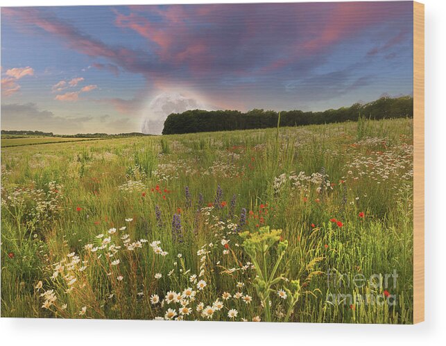 Norfolk Wood Print featuring the photograph Mega moon rising over flower meadow by Simon Bratt