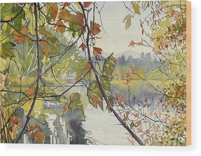 Fall Lakeside - Leafs Wood Print featuring the drawing Mellow Autumn Lake by Luisa Millicent